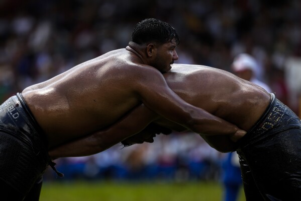 Oil wrestling online